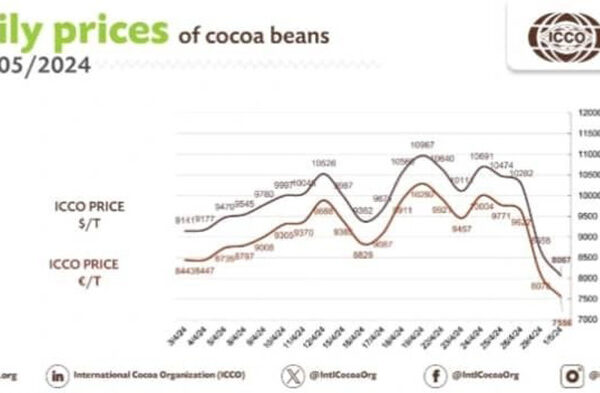 الأسعار اليومية للكاكاو من منظمة الكاكاو الدولية