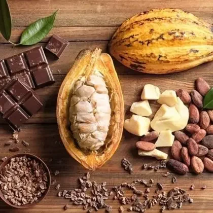 cocoa products and services